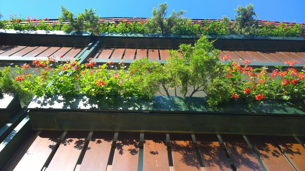 La Felce Bed & Breakfast Carisolo Buitenkant foto